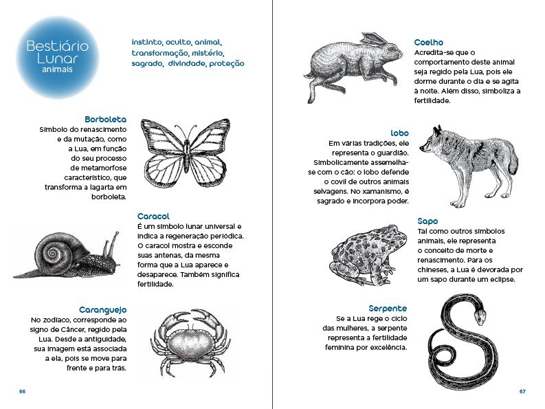 Almanaque_18